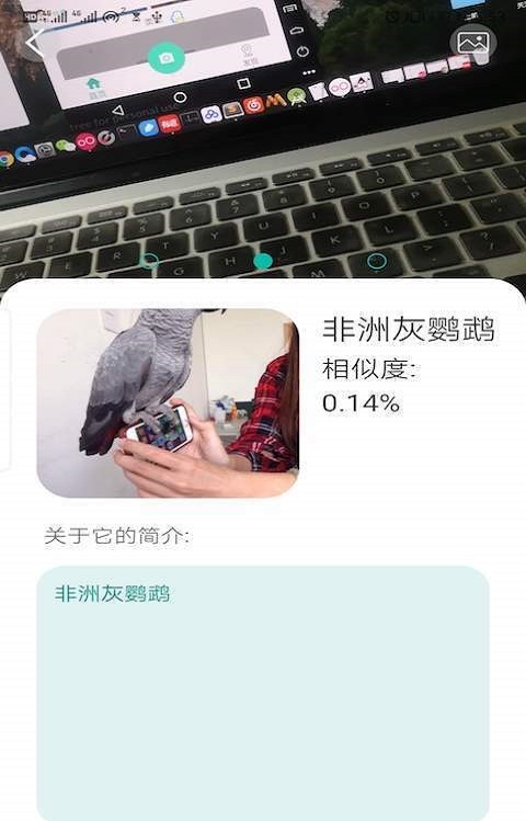 天天识别1.0.0.1下载