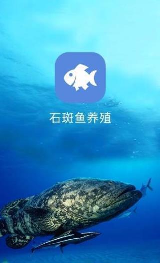 石斑鱼养殖  v1.0.0图1