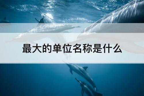 最大的单位名称是什么