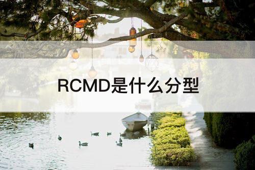 RCMD是什么分型