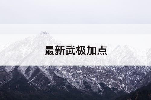 最新武极加点