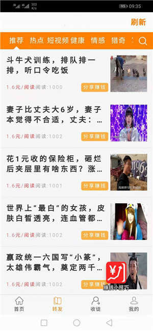 金竹网2024