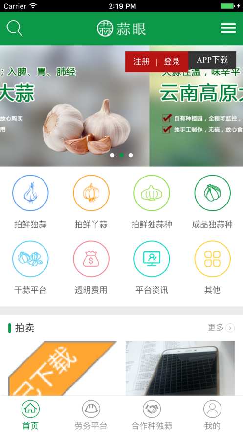 蒜眼2024  vv1.0图1
