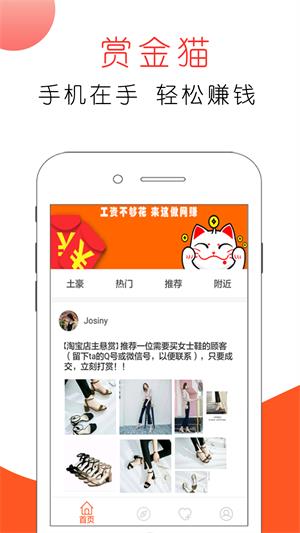赏金猫2023  v3.0图1