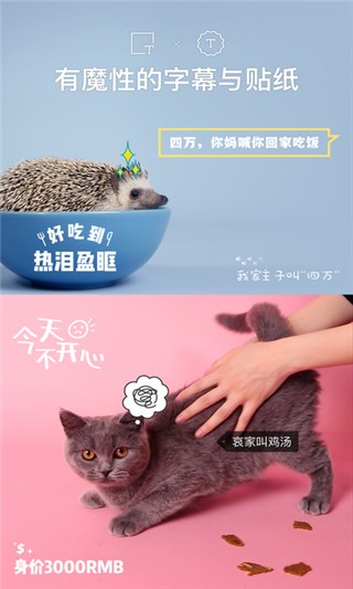 猫饼app  v2.0.0图1