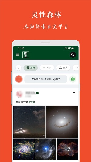 灵性森林手机版