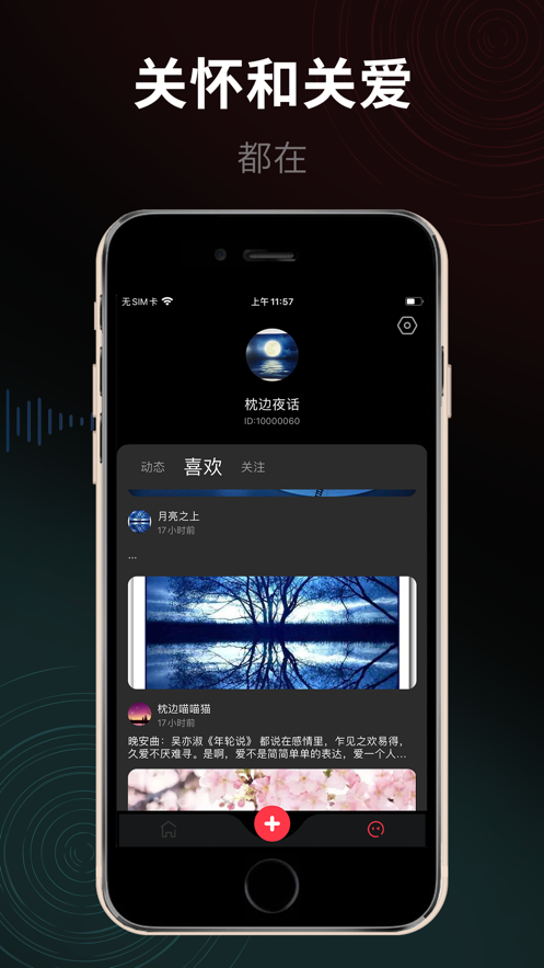 枕边猫  v1.0图3