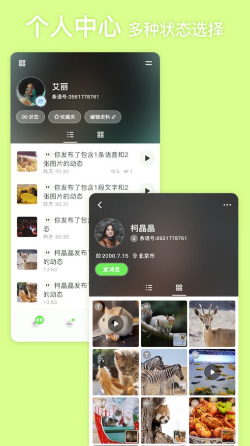 条语app  v2.0图1