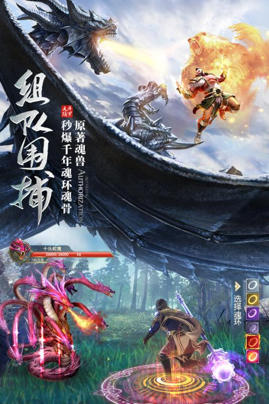 斗羅大陸2絕世唐門  v1.0圖3
