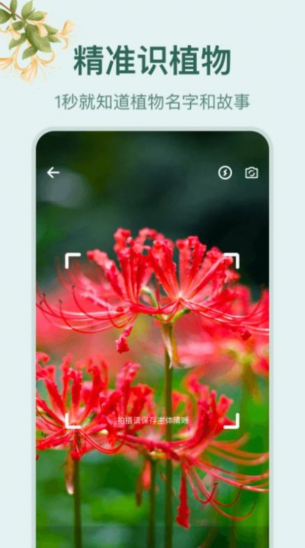 花草百科识别  v1.1图2