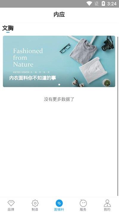 內應  v0.0.3圖3