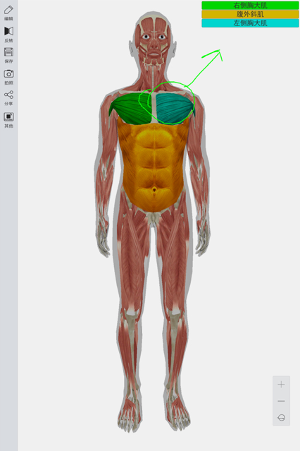 3d人体模型手机版  v2.0.0图1