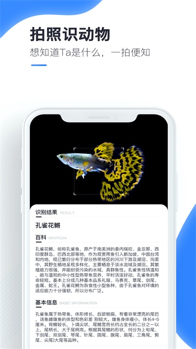 百科扫描王最新版下载免费官网苹果  v1.0.0图1