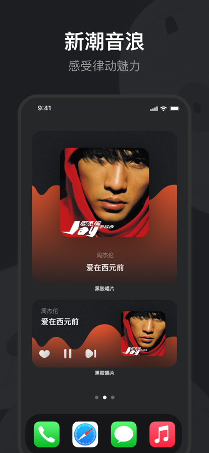 黑胶唱片软件下载免费安装  v1.0.0图3