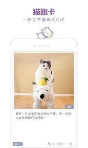 一日貓  v2.4.7圖2