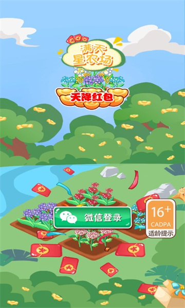 滿天星農場