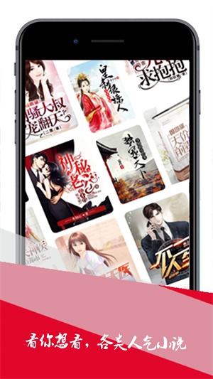 小小追书神器  v1.0图1