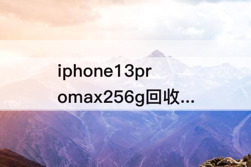 iphone13promax256g回收价格