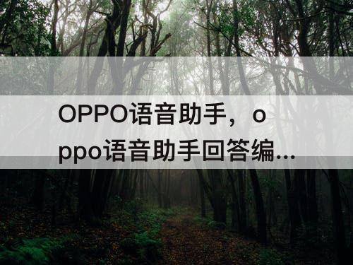 OPPO语音助手，oppo语音助手回答编辑