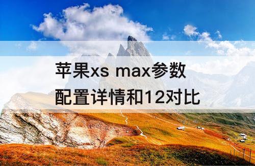 苹果xs max参数配置详情和12对比