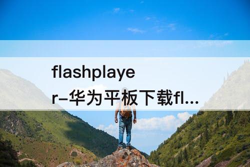 flashplayer-华为平板下载flashplayer为什么不可以用