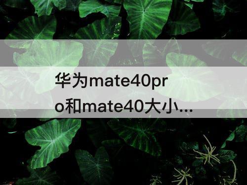 华为mate40pro和mate40大小对比