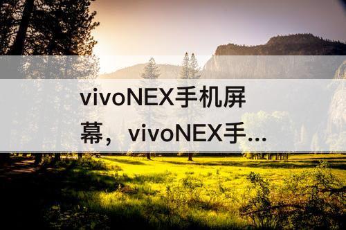 vivoNEX手机屏幕，vivoNEX手机屏幕多大