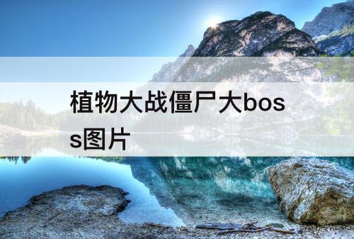 植物大战僵尸大boss图片