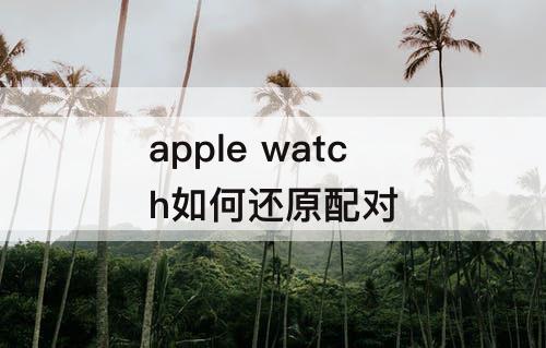 apple watch如何还原配对
