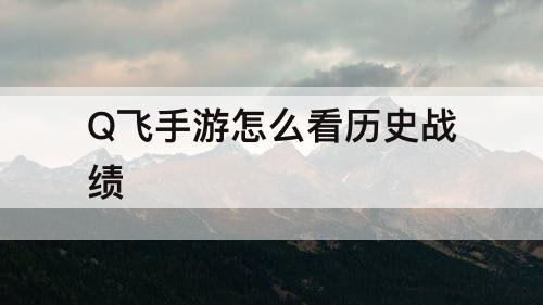 Q飞手游怎么看历史战绩