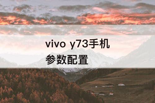 vivo y73手机参数配置