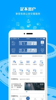 交管12123安卓版下载  v2.4.8图2