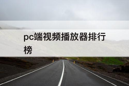 pc端视频播放器排行榜