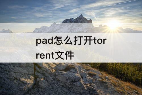 pad怎么打开torrent文件