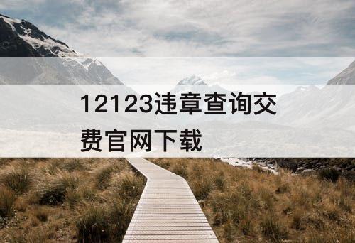 12123违章查询交费官网下载