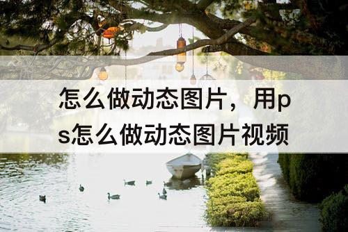 怎么做动态图片，用ps怎么做动态图片视频