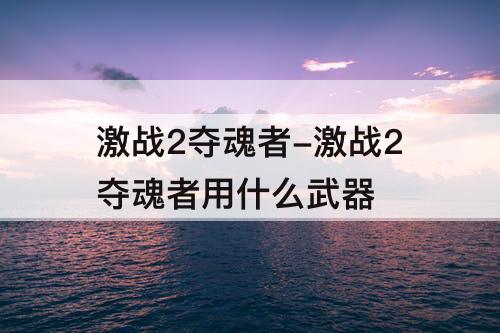激战2夺魂者-激战2夺魂者用什么武器