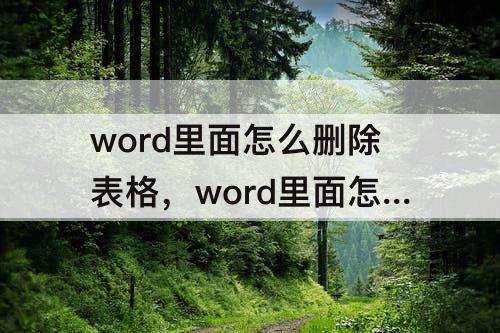 word里面怎么删除表格，word里面怎么删除表格边框