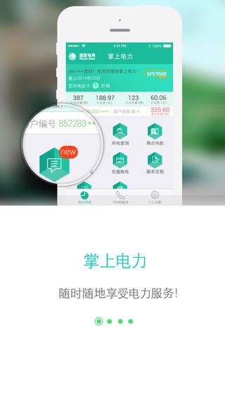 网上国网app交电费查余额下载安装  v2.0.5图2