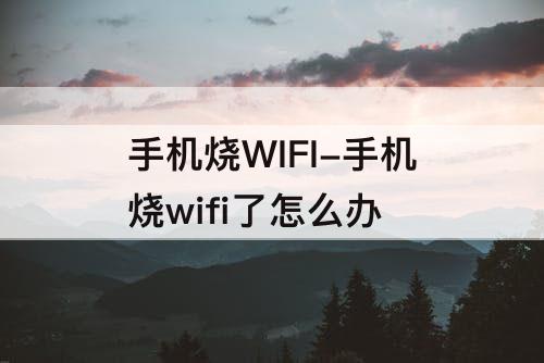 手机烧WIFI-手机烧wifi了怎么办