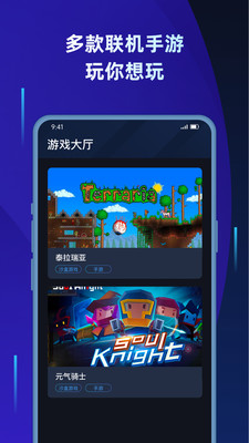 蒲公英联机平台电脑版  v1.2图3