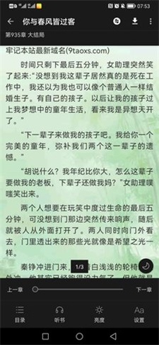 极光小说网免费阅读下载