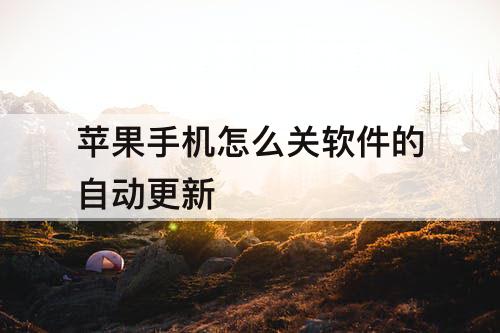 苹果手机怎么关软件的自动更新