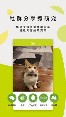 蹭蹭  v1.0.12图1