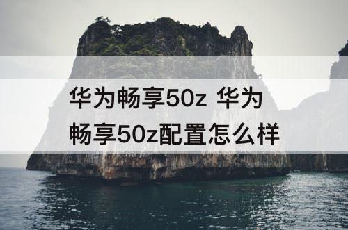 华为畅享50z 华为畅享50z配置怎么样