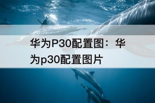 华为P30配置图：华为p30配置图片