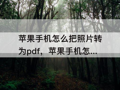 苹果手机怎么把照片转为pdf，苹果手机怎么把照片转为pdf格式