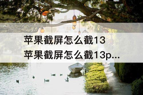 苹果截屏怎么截13 苹果截屏怎么截13pro