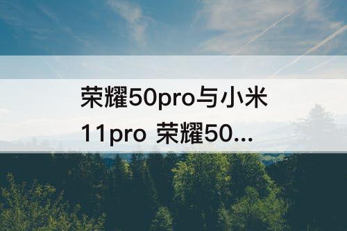 荣耀50pro与小米11pro 荣耀50pro与小米11pro拍照