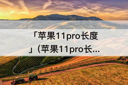 「苹果11pro长度」(苹果11pro长度多少厘米)